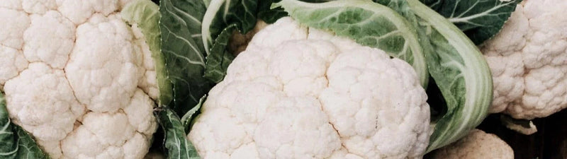 Gratén de coliflor