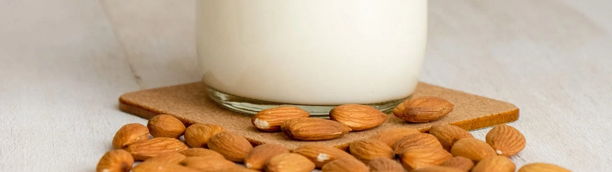 Quel lait végétal consommer ?