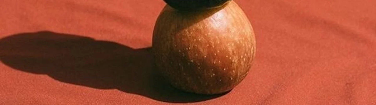 Le zinc : quelle est son importance pour la fertilité ?