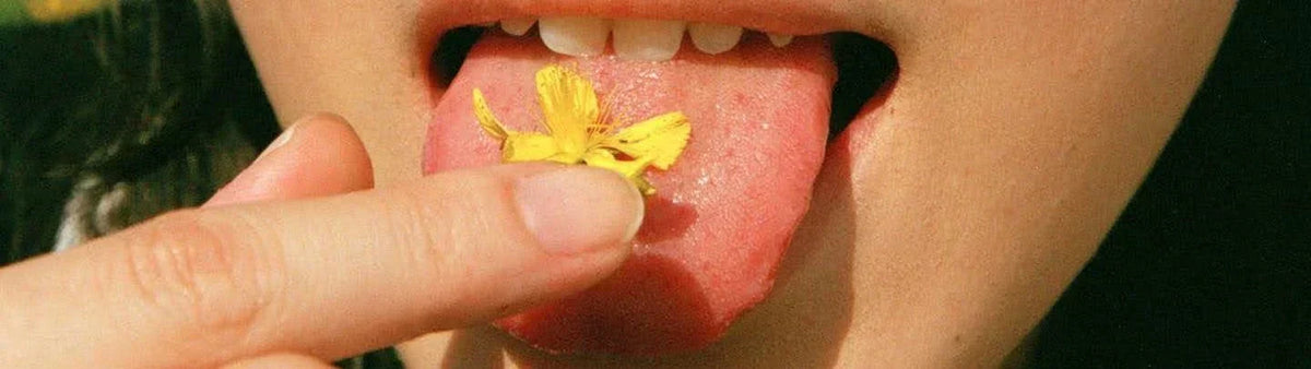Nausées de grossesse et vomissements : comment agir naturellement ?