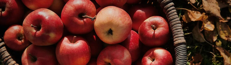 Manzanas al vapor infusionadas con una tisana de lactancia