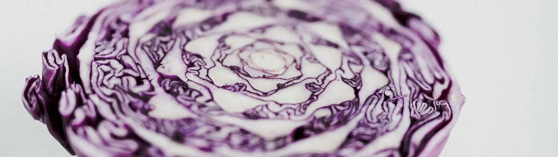 Der laktofermentierte Rotkohl