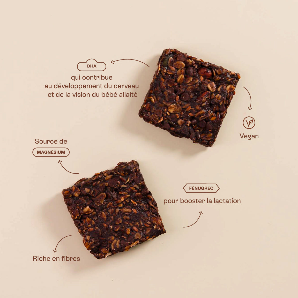 infographic with arrows around 2 chocolate breastfeeding snacks with the following text: DHA which contributes to the brain and vision development of the breastfed baby / Source of magnesium / fenugreek to boost lactation / High in fibre / vegan
