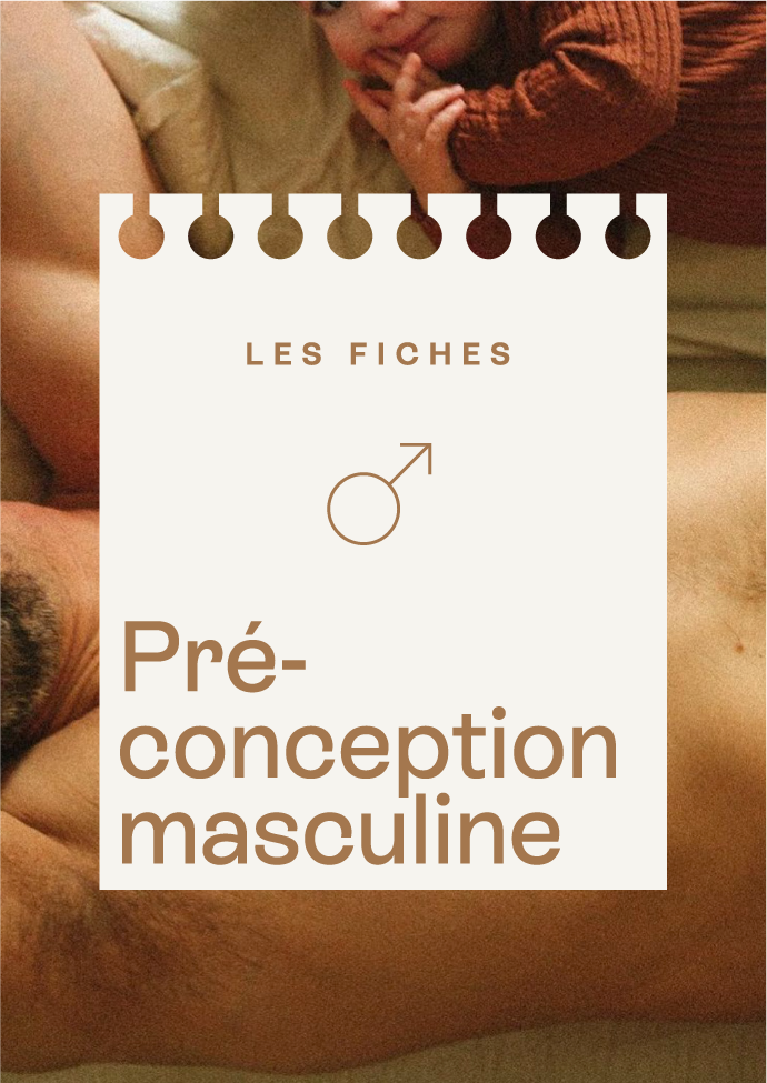 Coenzyme Q10 fertilité : bienfaits et conseils pour optimiser ses chances