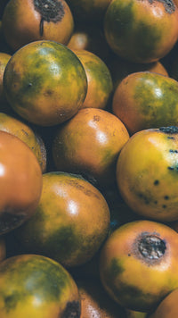 Lucuma