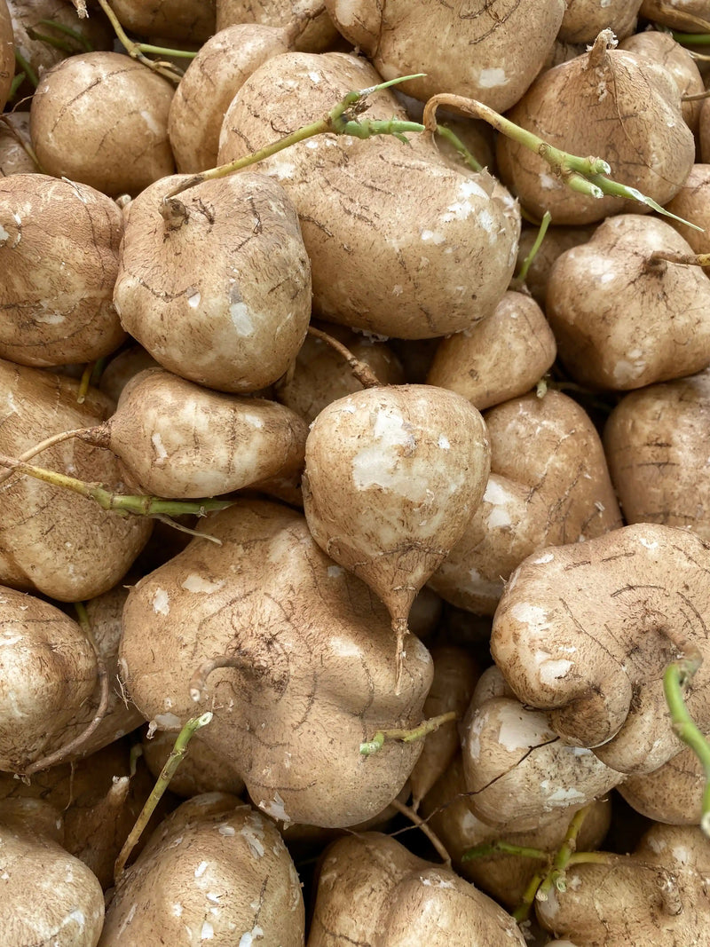 Maca