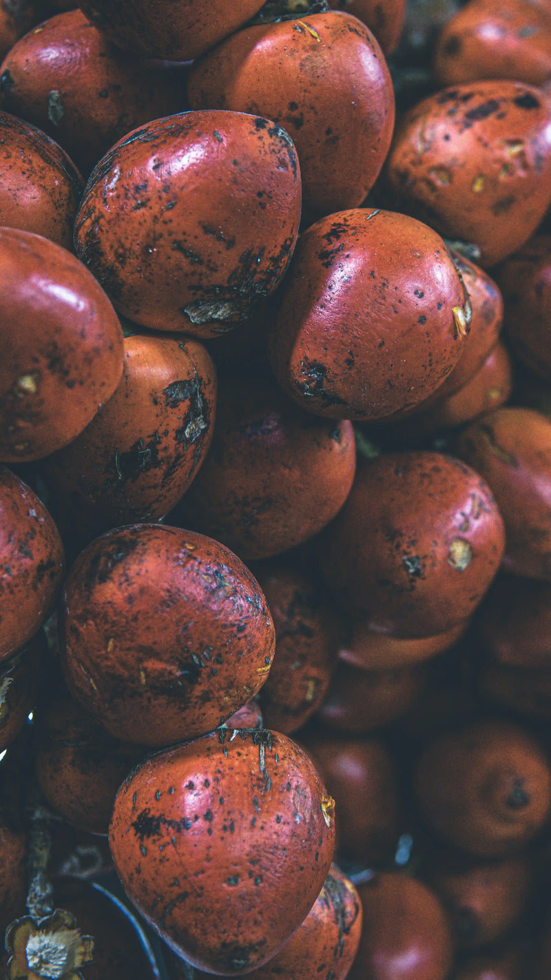 Pulpe d acai