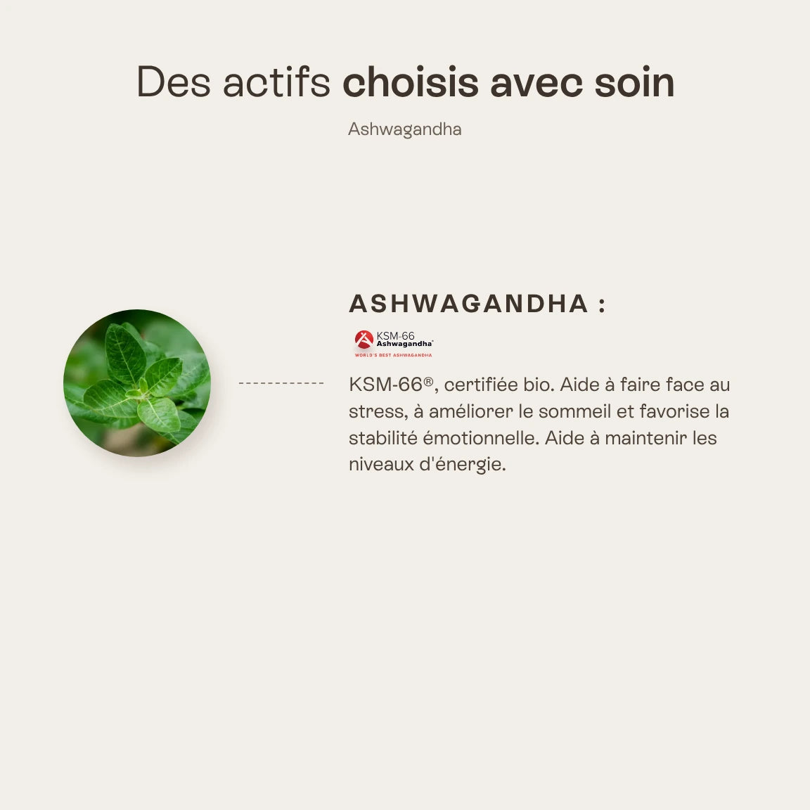 Ashwagandha