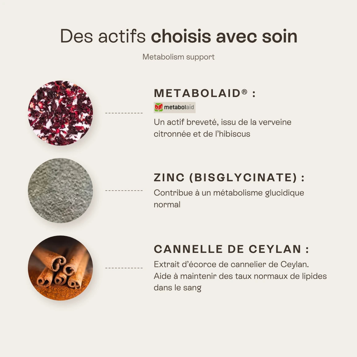 Metabolism Support