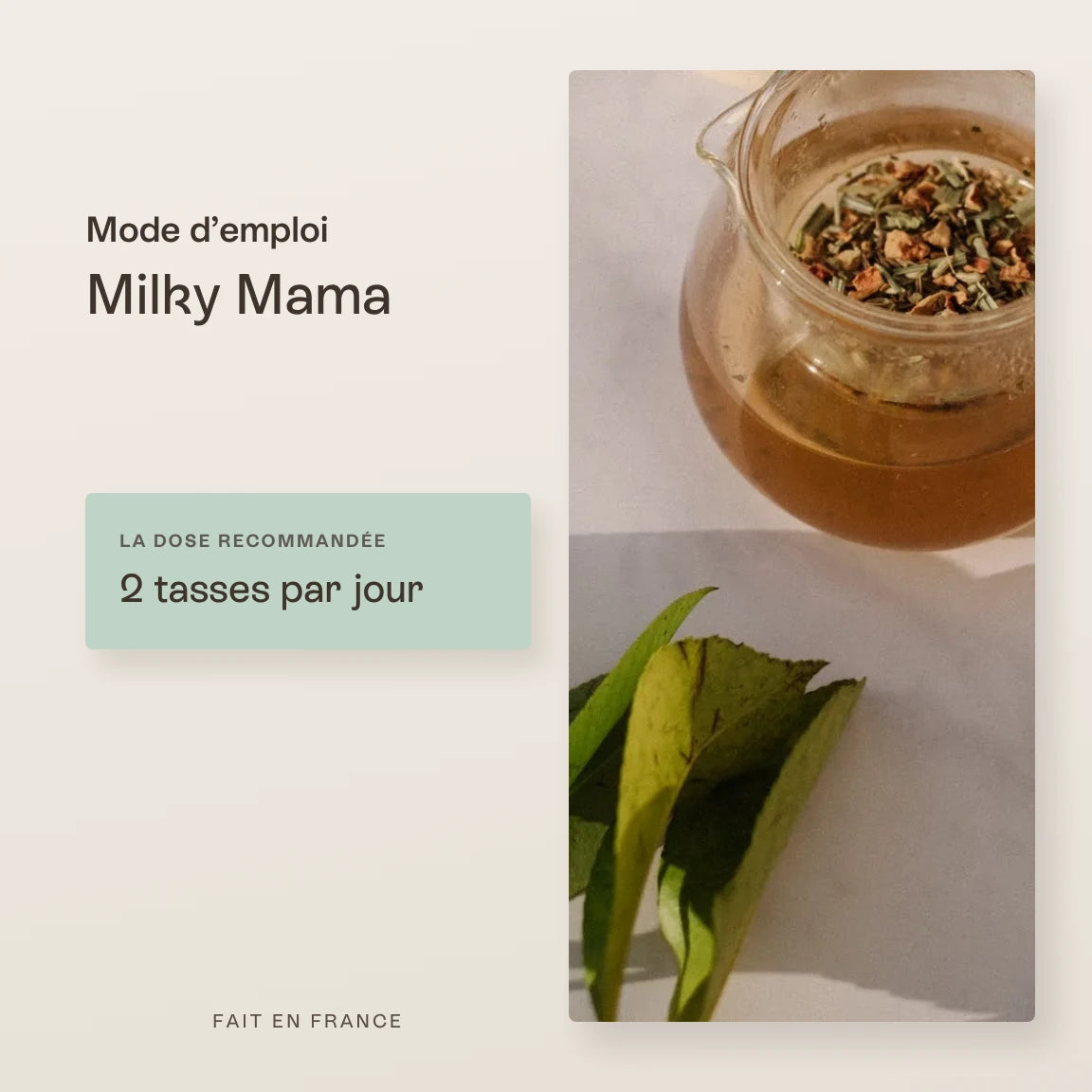 Infusion Milky Mama